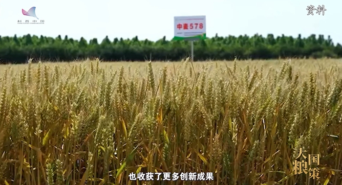 2cf05d3dca85294da3b012.jpg
