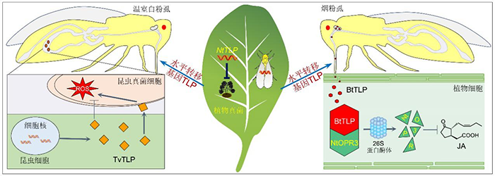 圖片1.png