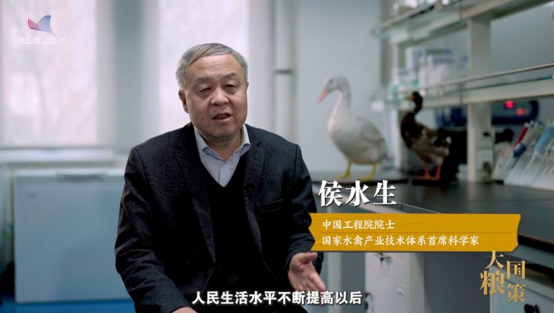 【大國糧策】從“鴨力山大”到“吃鴨自由”：院士揭秘一只鴨的“增值密碼”