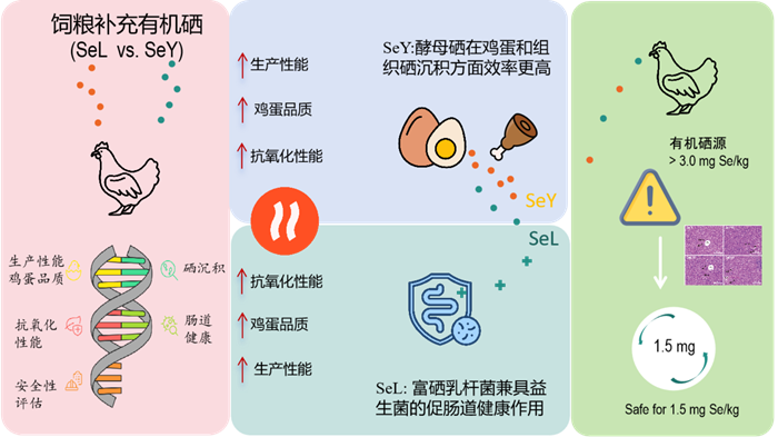 d8026d99353543f98abe2b0111356af2.png