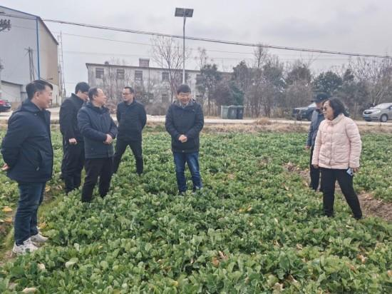 油菜產業專家團.png