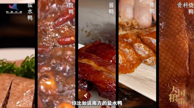 【大國糧策】從“鴨力山大”到“吃鴨自由”：院士揭秘一只鴨的“增值密碼”