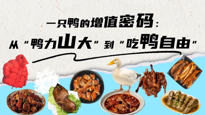 【大國糧策】從“鴨力山大”到“吃鴨自由”：院士揭秘一只鴨的“增值密碼”