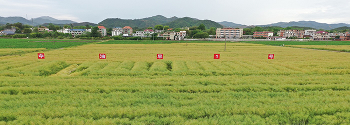 圖片700.jpg
