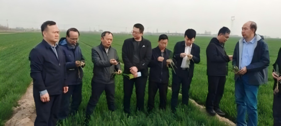 20250409專家團圖片8.png