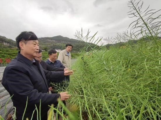 油菜專家團.jpg