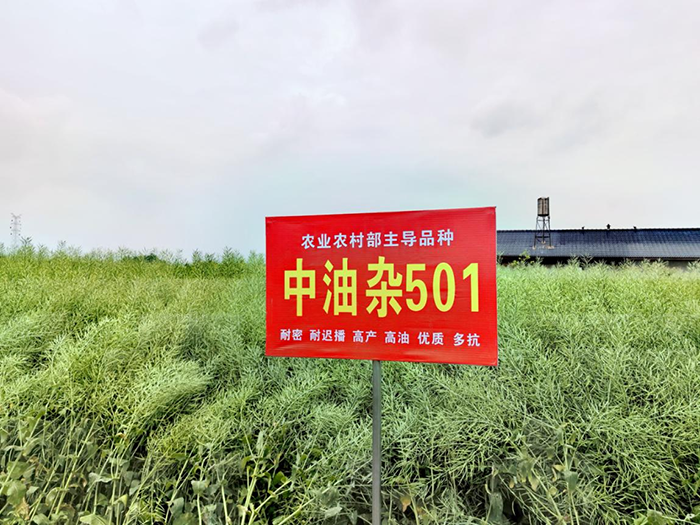 微信截圖_20250428113118.png