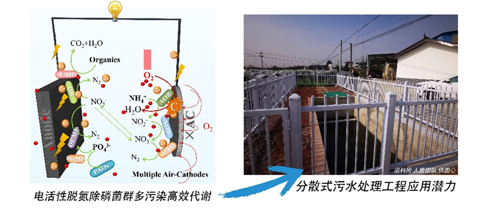 700電活性押題1.png