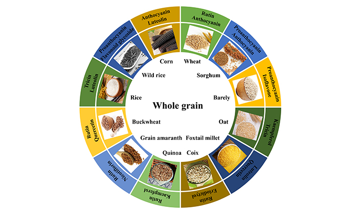 Fig. 1.jpg
