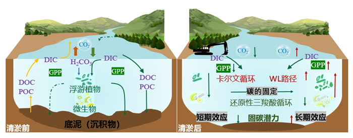 科研進(jìn)展.png